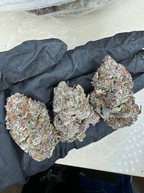 Mochi Gelato Strain