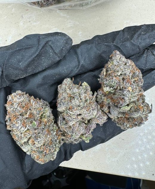 Mochi Gelato Strain