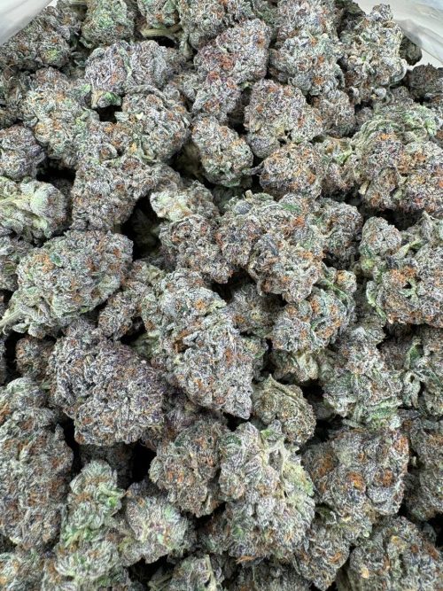 Mochi Gelato Strain - Image 2