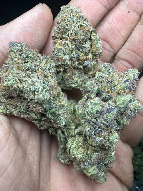 Gelato Kush Strain