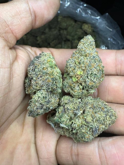 Lemon Juice Strain - Image 2
