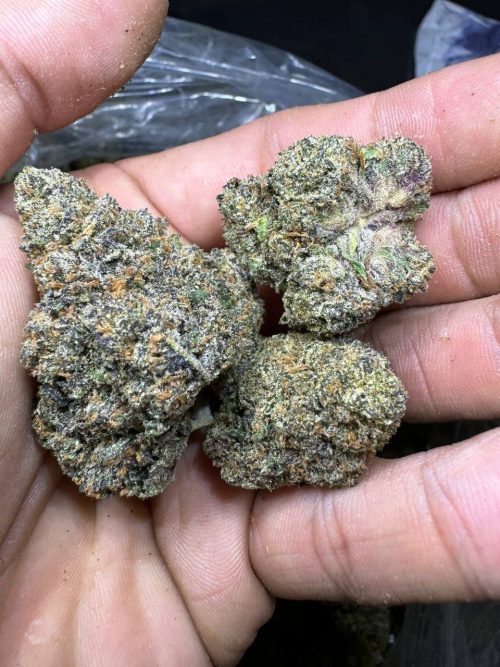 Coffee Cake Strain