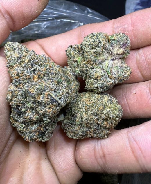Coffee Cake Strain