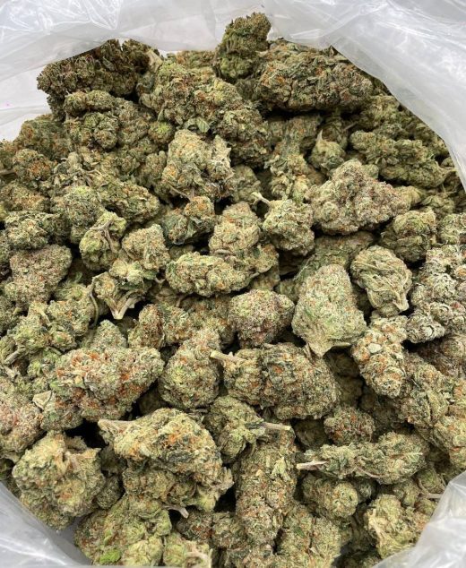 King Kush Strain