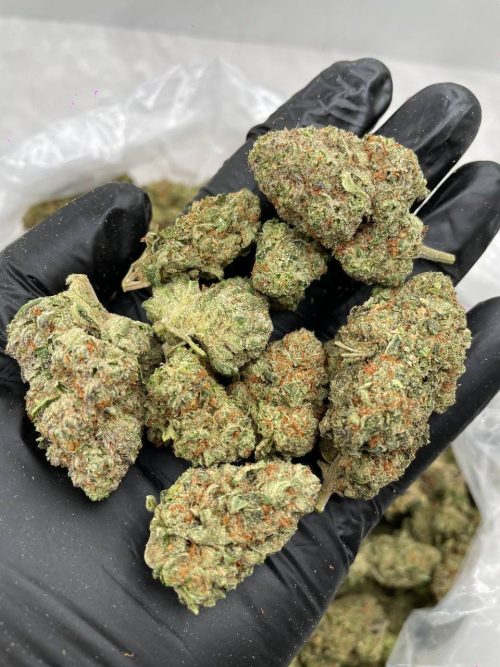 King Kush Strain - Image 2