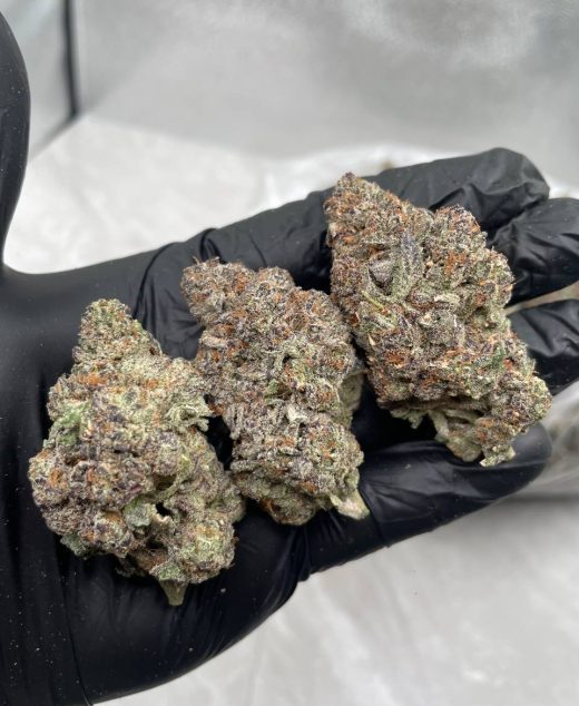 OG Cookie Strain
