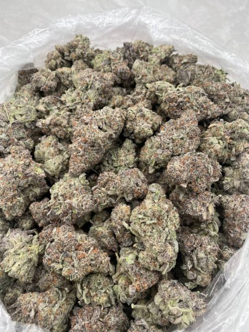 OG Cookie Strain - Image 2