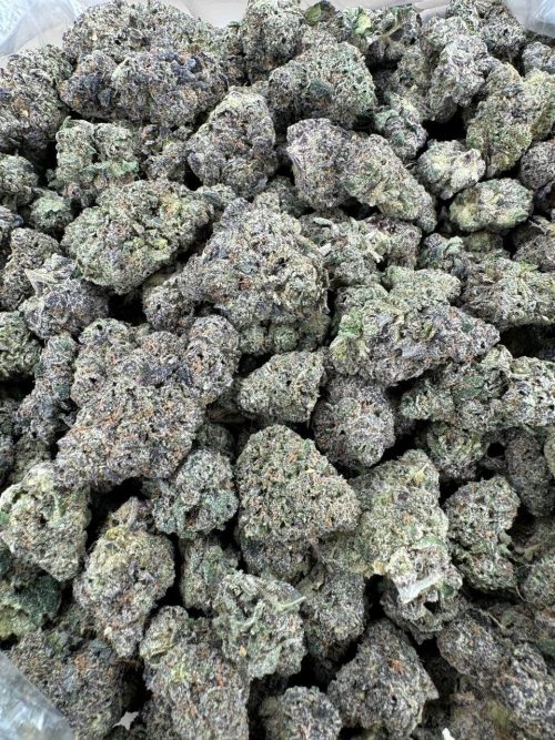 Pink Sorbet Strain - Image 2