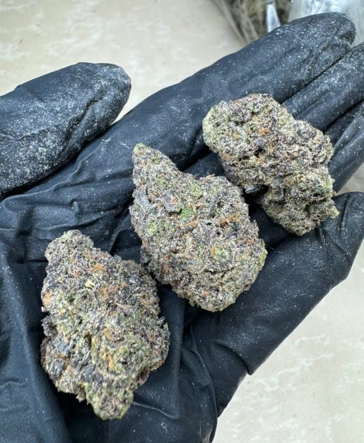 Pink Sorbet Strain