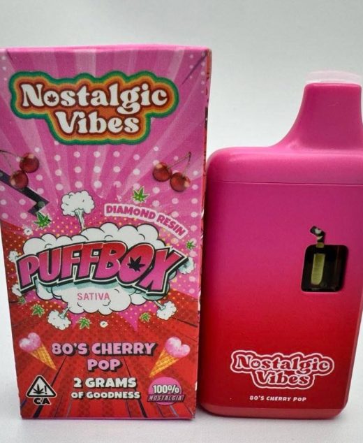 Nostalgic Vibes Disposable