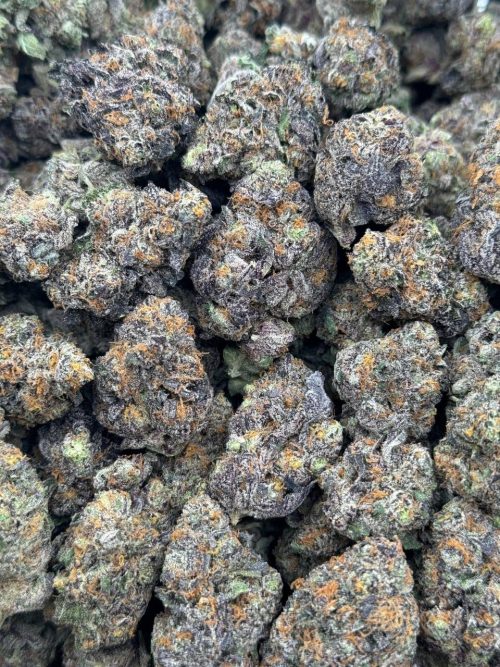 Martian Runtz Strain