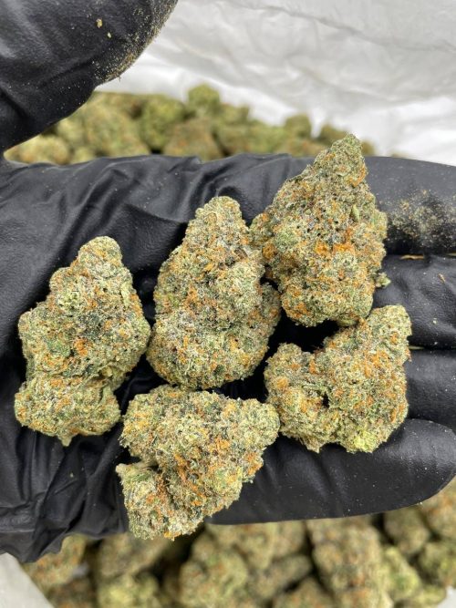 Joker Candy Strain - Image 2