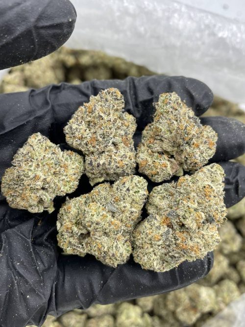 Milk Bone Strain - Image 2
