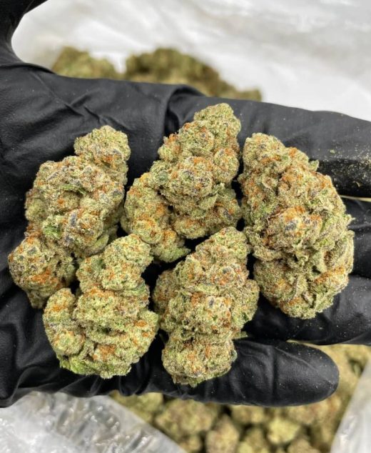 Glitter Bomb Strain