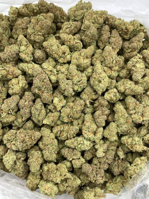 Glitter Bomb Strain - Image 2