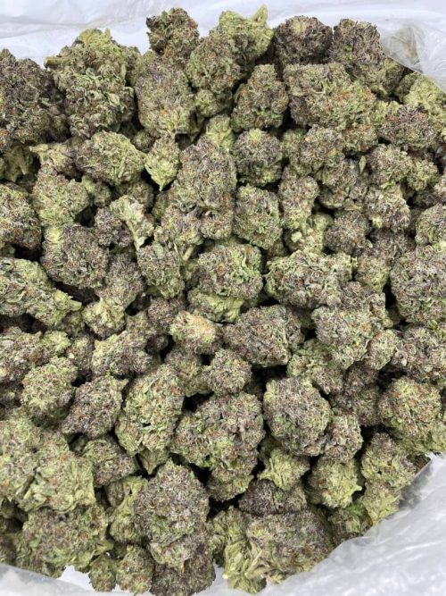 Grape Gelatti Strain - Image 2