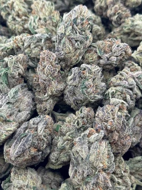 Zoinks Strain