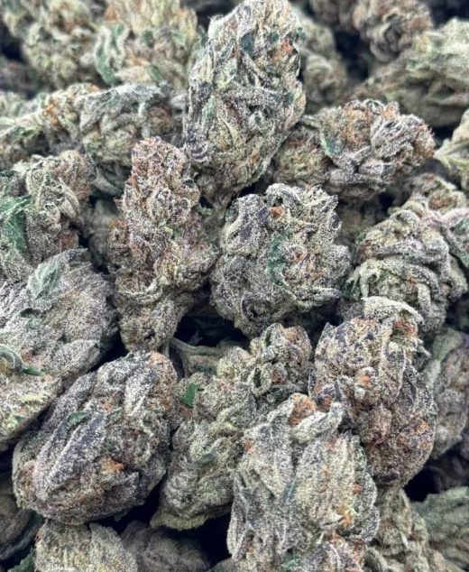Zoinks Strain