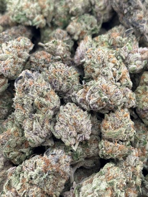 White Cherry Gusher Strain