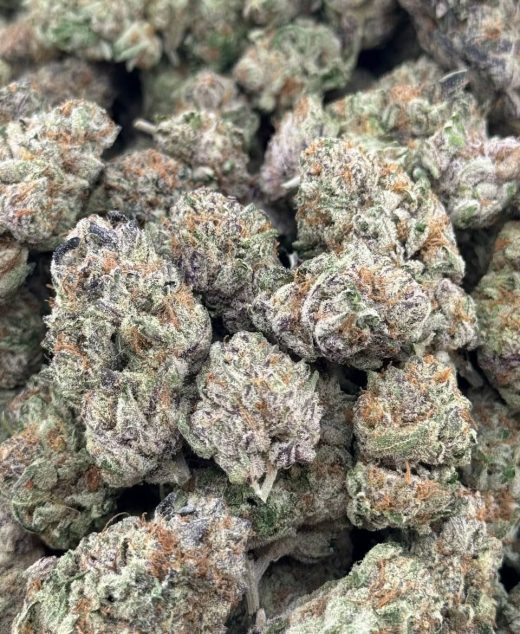 White Cherry Gusher Strain