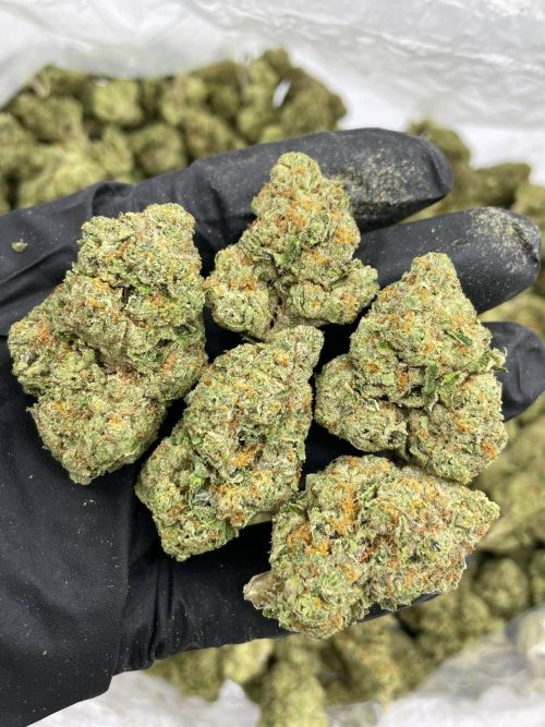 True OG Strain - Image 2