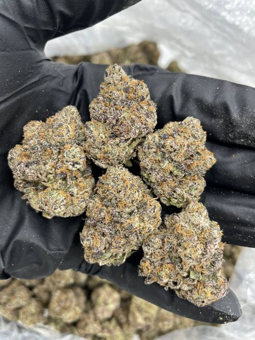 Candy Snow - Image 2