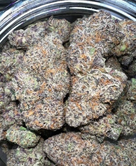 Bubblegum Cherries Strain