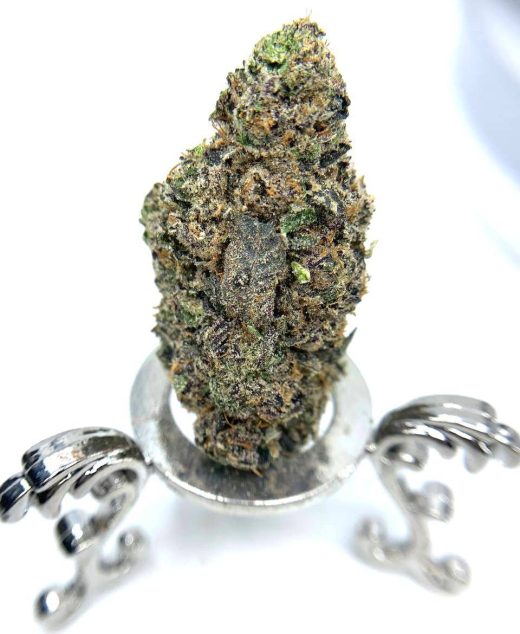 Lemonatti Strain