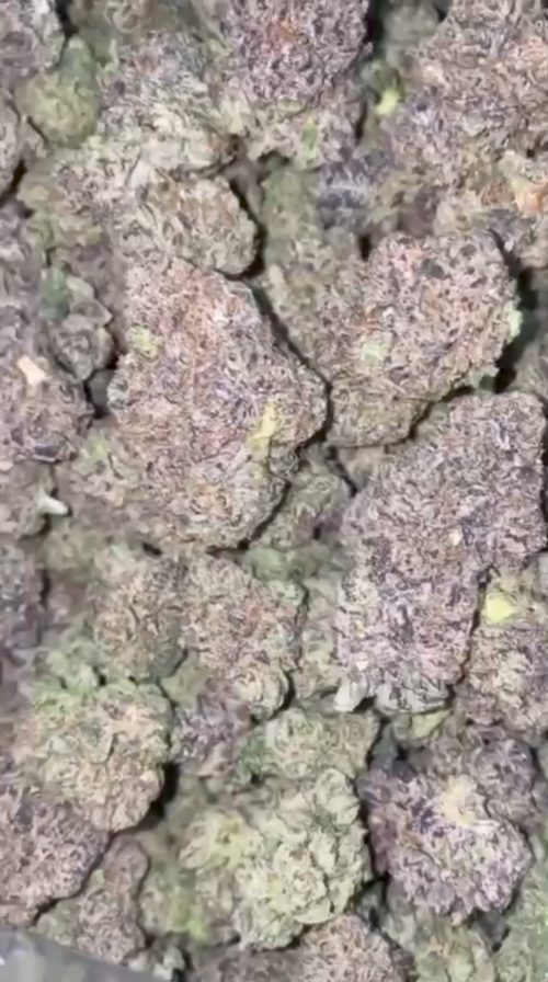 Lemonatti Strain - Image 2