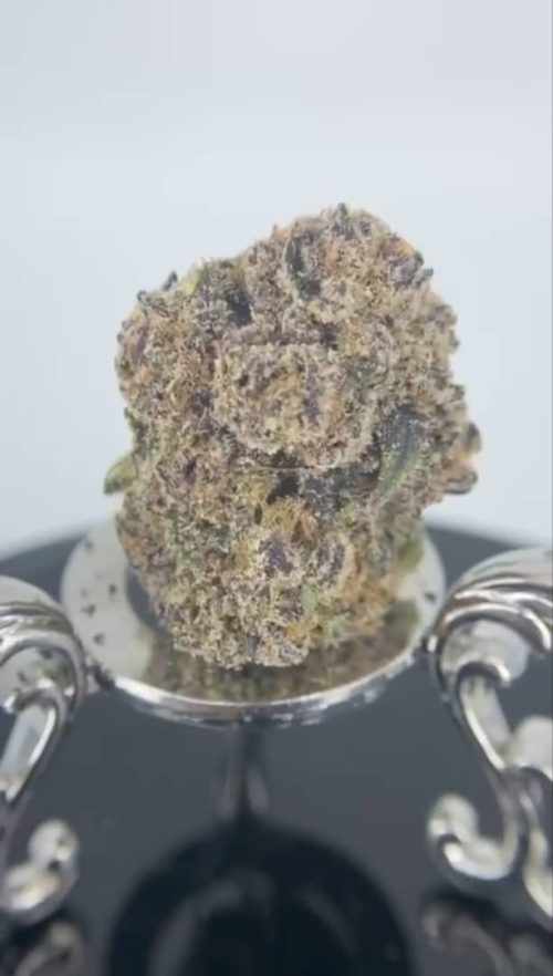 Peach Frose Strain - Image 2