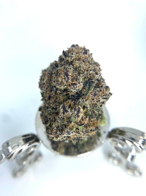 Peach Frose Strain
