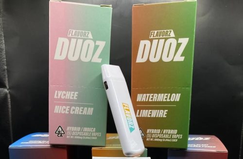 Flavorz Duoz Disposable