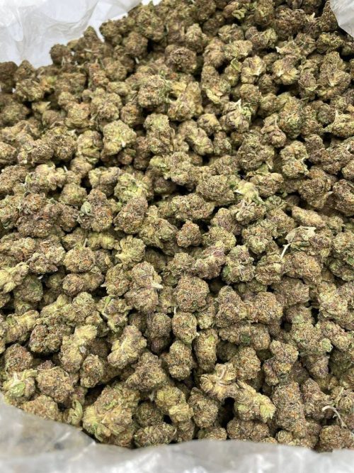 Electric Koolaid Strain