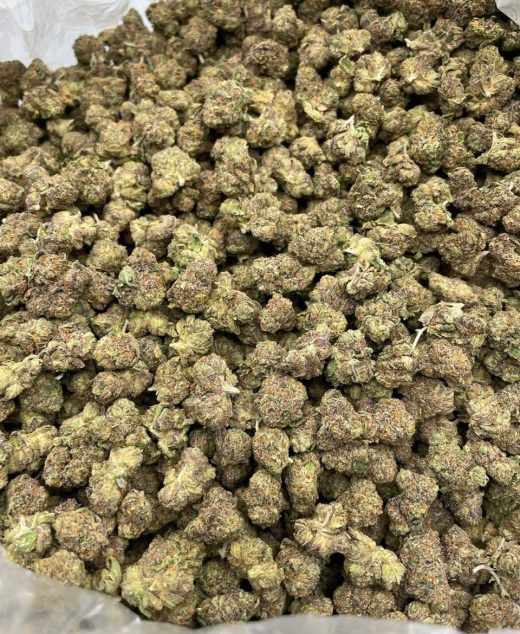 Electric Koolaid Strain