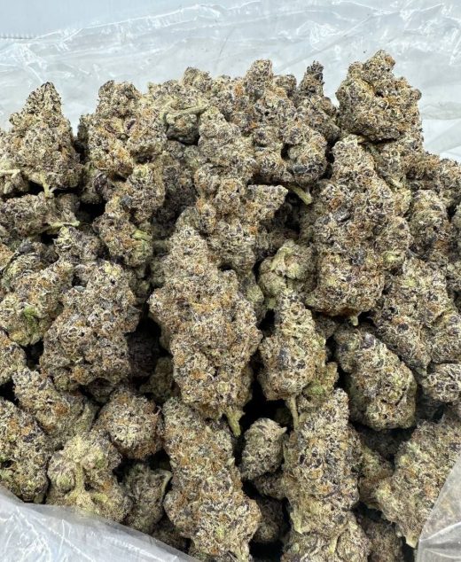 Cherry Lemonade Strain