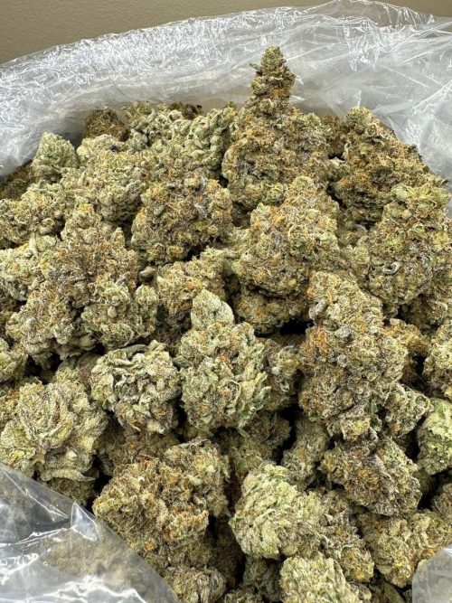 Cherry Lemonade Strain - Image 2