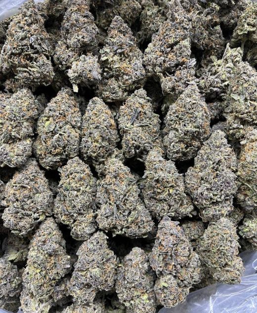 Georgia Pie Strain