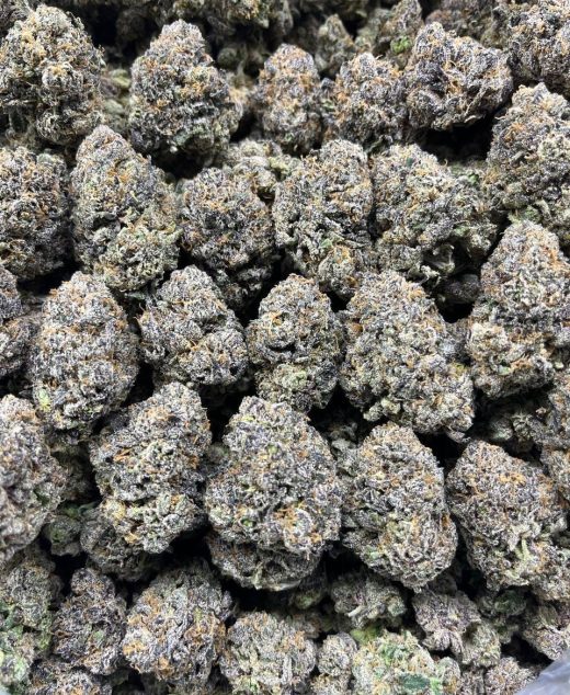 Scooby Snacks Strain