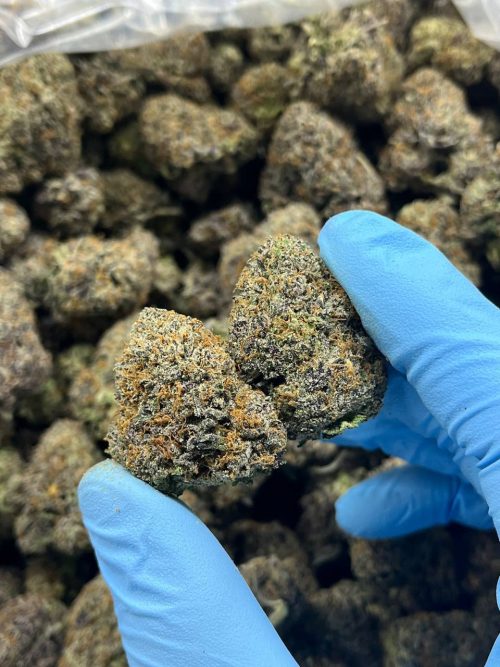 Frozen Grapes Strain - Image 2
