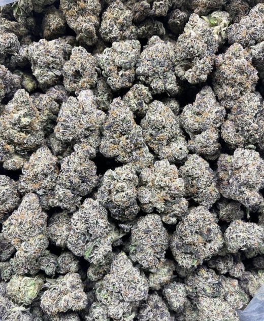 London Jelly Strain