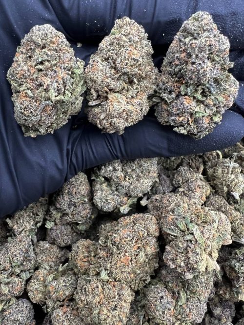 Knockout Runtz Strain