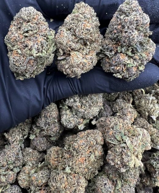 Knockout Runtz Strain