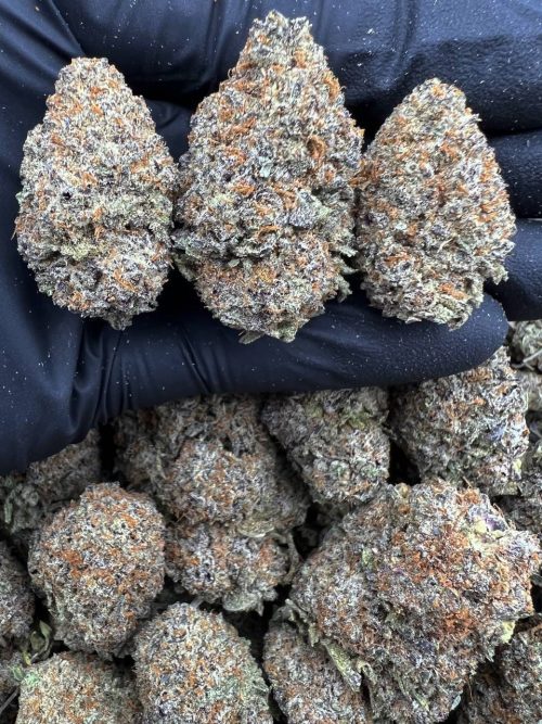 Pink Rozay Strain