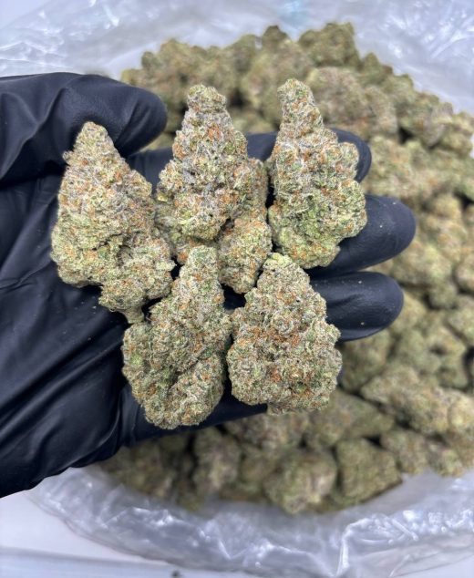 Midnight Gelato Strain
