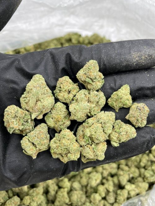 Pie Hoe Strain - Image 2