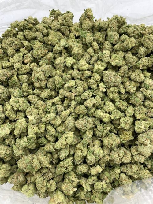 Pie Hoe Strain
