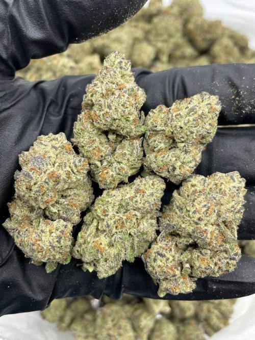 Dunkaroos Strain - Image 2