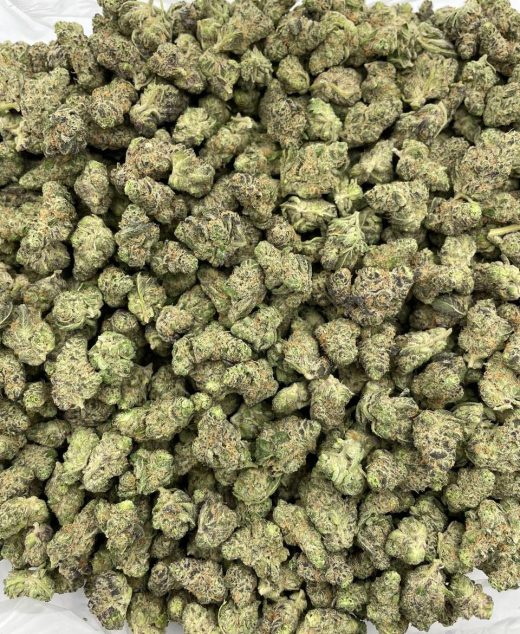 Garlic Truffles Strain