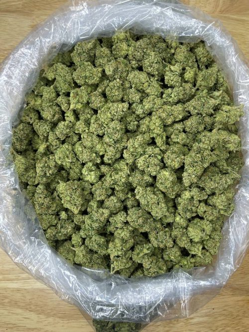 Fire Og Strain