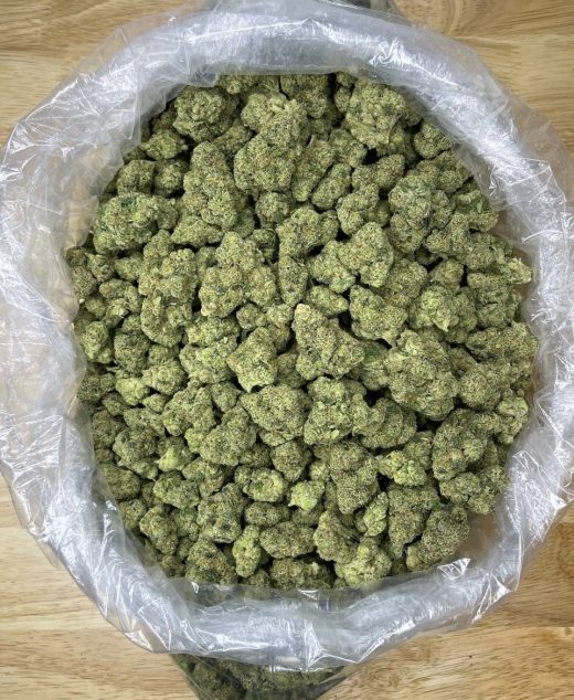 Holy Gelato Strain